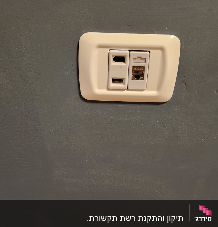 שקע רשת עם שני חיבורים על קיר אפור